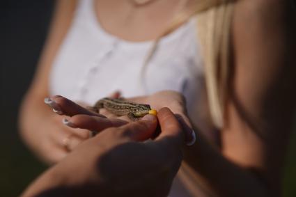 Самарская область. Девушка держит на ладони ящерицу.