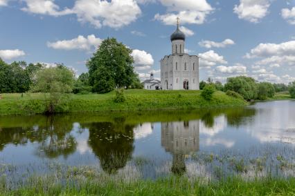 Владимирская область. Вид на храм Покрова на Нерли в Боголюбово.