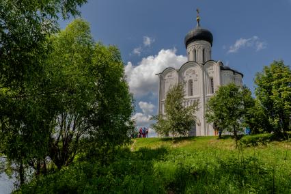 Владимирская область. Вид на храм Покрова на Нерли в Боголюбово.