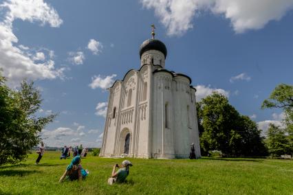 Владимирская область. Вид на храм Покрова на Нерли в Боголюбово.