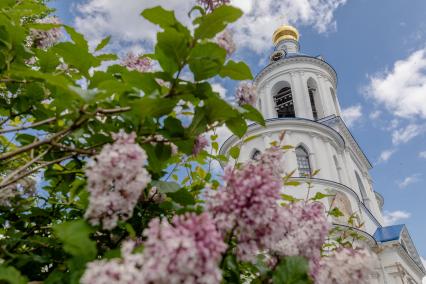 Владимирская область. Суздальский район. Вид на колокольню с надвратной Успенской церковью на территории Боголюбского  монастыря Рождества Богородицы.