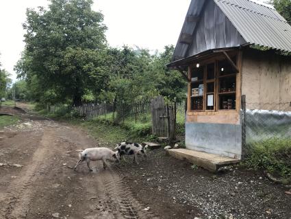 Абхазия. Сухумский район. с.Псху. Деревенский магазинчик по продаже меда.