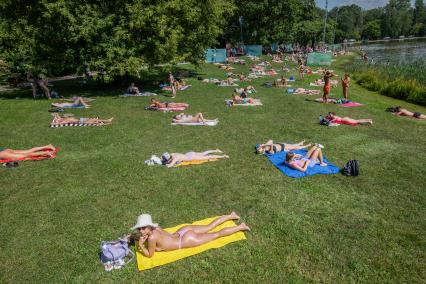 Москва. Горожане загорают на берегу Путяевского пруда в парке Сокольники.