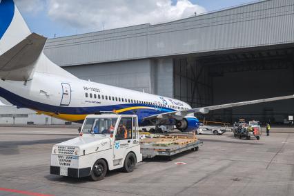 Красноярск. Самолет Boeing 737-800 авиакомпании NordStar в международном аэропорту Красноярск имени Дмитрия Хворостовского.