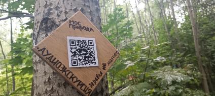 Москва. QR-код на дереве в Битцевском лесу в рамках проекта `Деревья не молчат`, организованного экоцентром `Лесная сказка` Мосприроды.