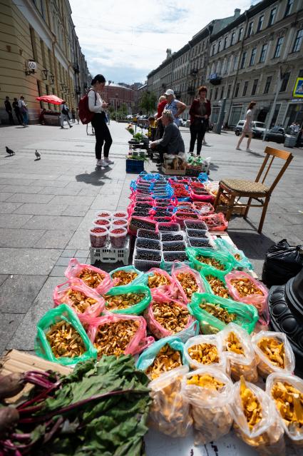 Санкт-Петербург. Продажа ягод и грибов на одной из улиц города.
