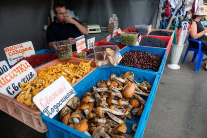 Санкт-Петербург. Торговля грибами и ягодами на Сенном рынке.