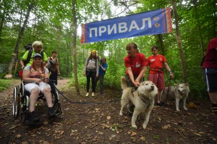 `Хаски-терапия: идем в поход!`