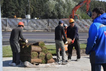 Москва.  Рабочие  укладывают  газон перед открытием  станций метро  `Пыхтино` Солнцевской линии Московского метрополитена.