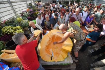 Москва. Посетители во время торжественного вскрытия самых больших тыкв  в Ботаническом саду МГУ `Аптекарский огород`.