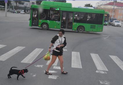 Сахалинская область. Южно-Сахалинск.  Женщина с собакой на пешеходном  переходе.