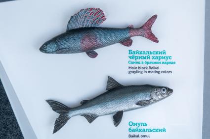 Республика Бурятия, п. Танхой. На территории Байкальского государственного природного биосферного заповедника.