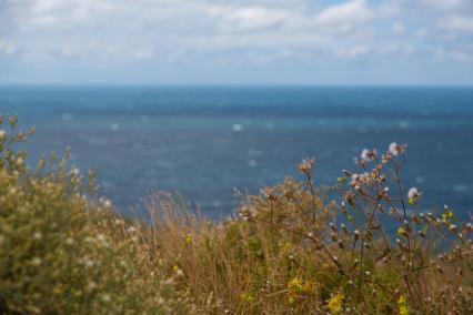Анапа. Вид на Черное море в районе Высокого берега.