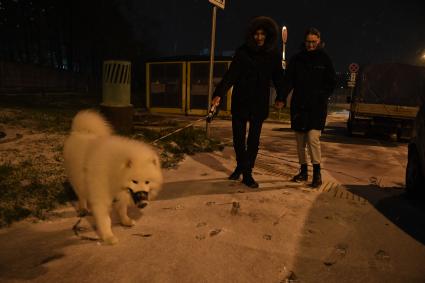Москва. Пара гуляет с собакой.