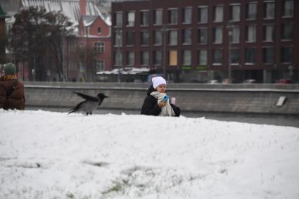 Москва.   Ворона на снегу.