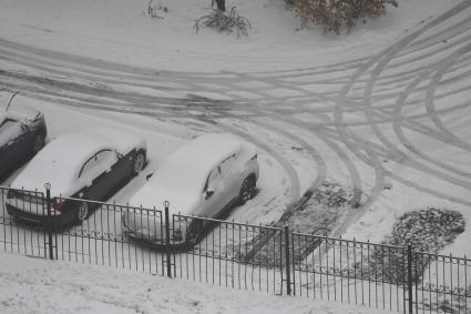 Москва.   Мужчина гуляет с собакой  во время снегопада.