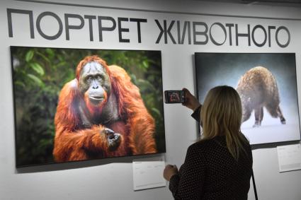 Москва.  Посетители на выставке во время XVII фестиваля дикой природы `Золотая Черепаха` в Новой Третьяковке в Москве.