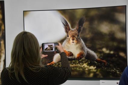 Москва.  Посетительница фотографирует на выставке во время XVII фестиваля дикой природы `Золотая Черепаха` в Новой Третьяковке.