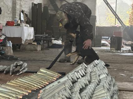 Донецкая область. Бойцы одного из подразделений  на линии боевого соприкосновения под Донецком.