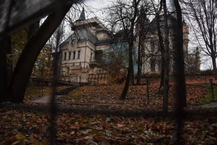 Московская область, д.Грязь. Вид на замок артистов Максима Галкина и Аллы Пугачевой.