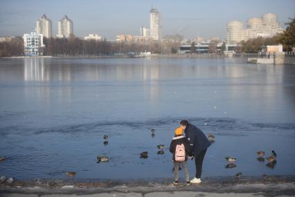 Екатеринбург. Парень с девушкой кормят уток на городском пруду