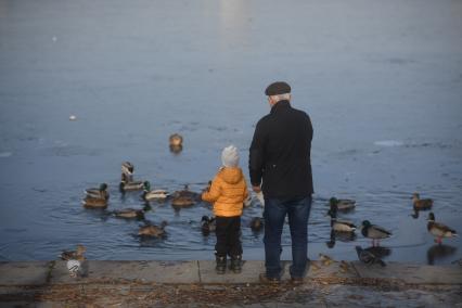 Екатеринбург.Дедушка с внуком кормят уток на городском пруду