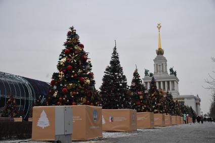 Новогодний проект `Елки России`на ВДНХ