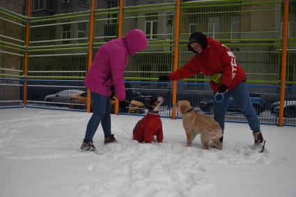 Последствия снегопада в Москве