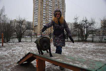 Собака в одежде на прогулке