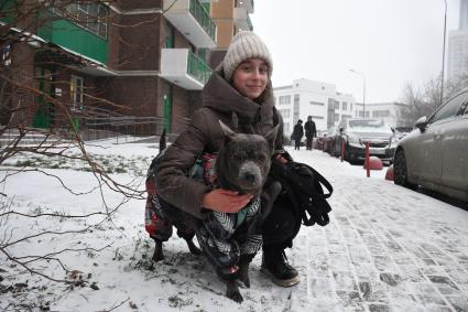 Собака в одежде на прогулке