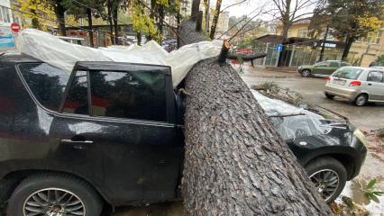 Последствия урагана в Сочи