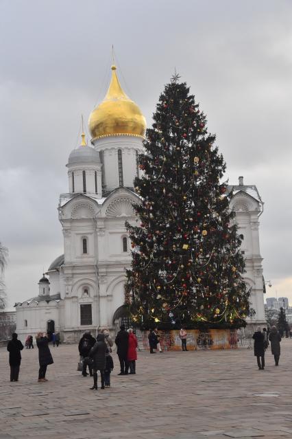 Главная новогодняя ель России в Кремле