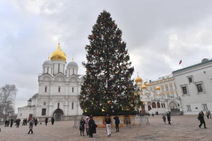 Главная новогодняя ель России в Кремле