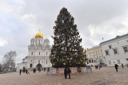 Главная новогодняя ель России в Кремле