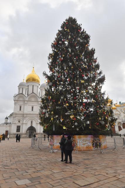 Главная новогодняя ель России в Кремле