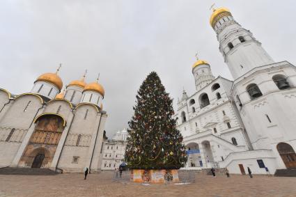 Главная новогодняя ель России в Кремле