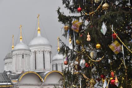 Главная новогодняя ель России в Кремле