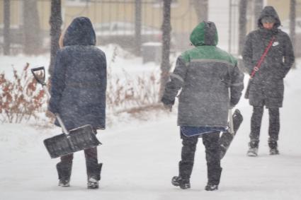 Снег в Воронеже