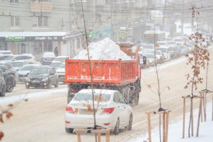 Снег в Воронеже