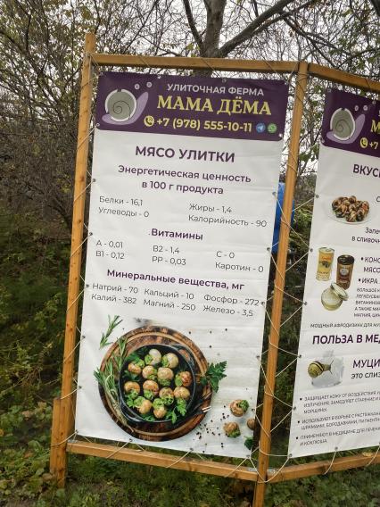 Улиточная ферма `Мама Дема` в Крыму