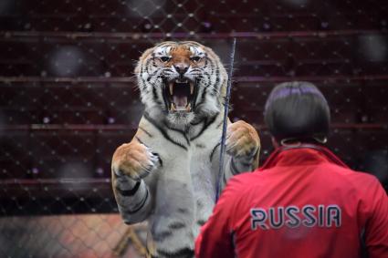 Подготовка шоу Легенда\" в цирке на проспекте Вернадского