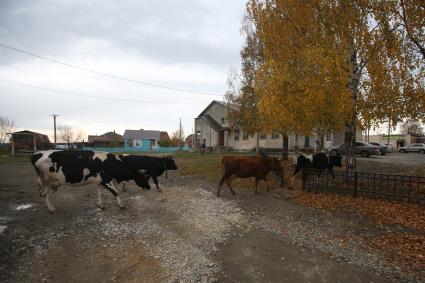 Село Мариинск