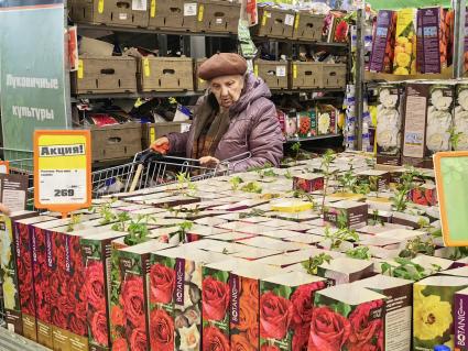 Продажа семян и рассады на рынке