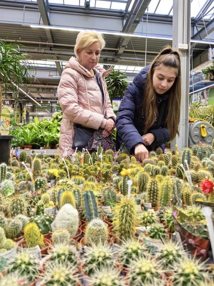 Продажа семян и рассады на рынке