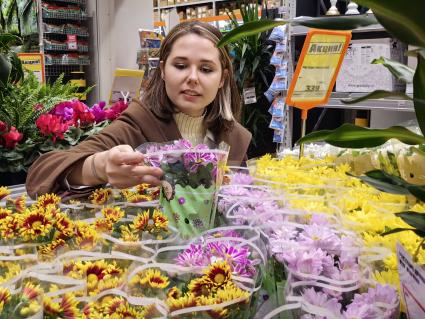 Продажа семян и рассады на рынке