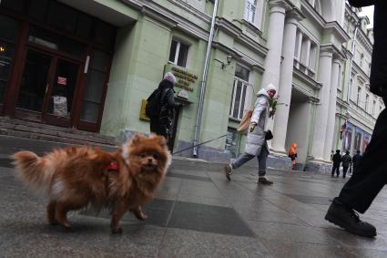 Поздравление женщин с праздником 8 марта в Москве