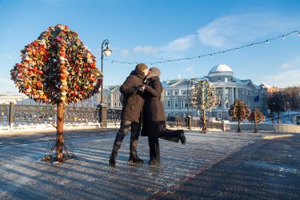 Третьяковский мост в Москве