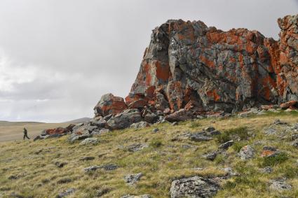 Национальный `Сайлюгемский парк `Алтая