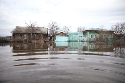 Паводок в Курганской области. Село Каминское