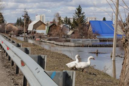 Паводок в Кургане